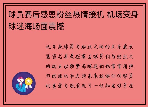 球员赛后感恩粉丝热情接机 机场变身球迷海场面震撼